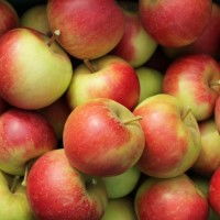 (F) Ein Beutel Äpfel