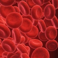 (D) Ein großes Blutbild