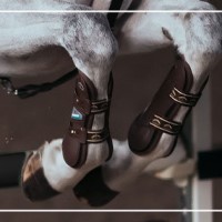 (R) Ein Paar Springgamaschen