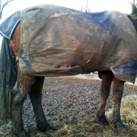 (D) Eine Decke Waschen