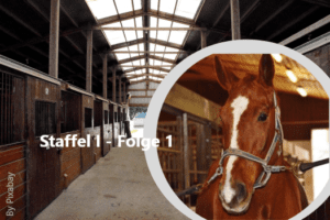 Putzplatz 16FSegoe UI 3-2