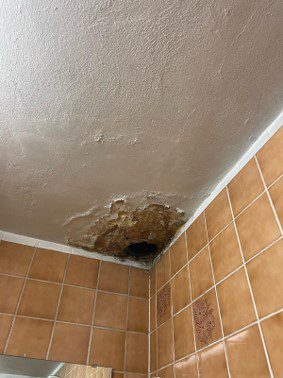 Sanitärbereich sanieren